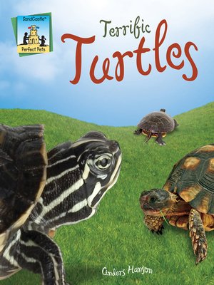 cover image of Terrific Turtles